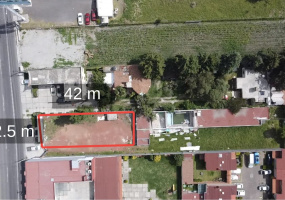 ESTADO DE MEXICO, 0 , 0 ,0,Terreno,En renta,0,1579